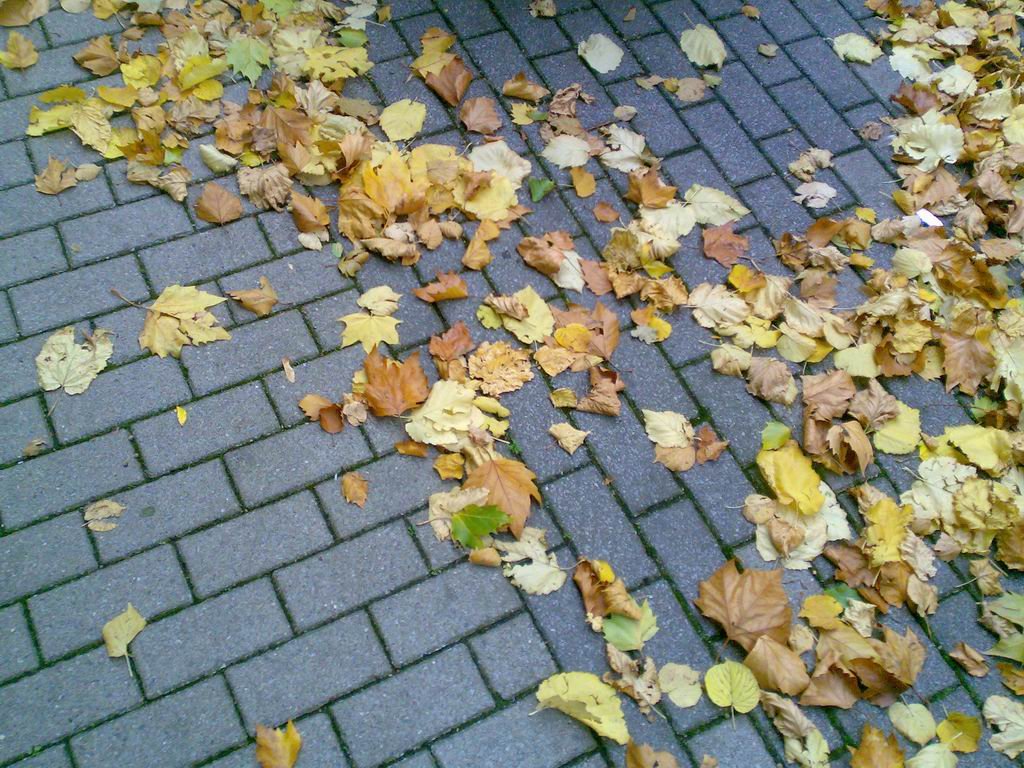 nokia7390cam01.jpg