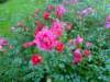 nokia7390cam16_small.jpg