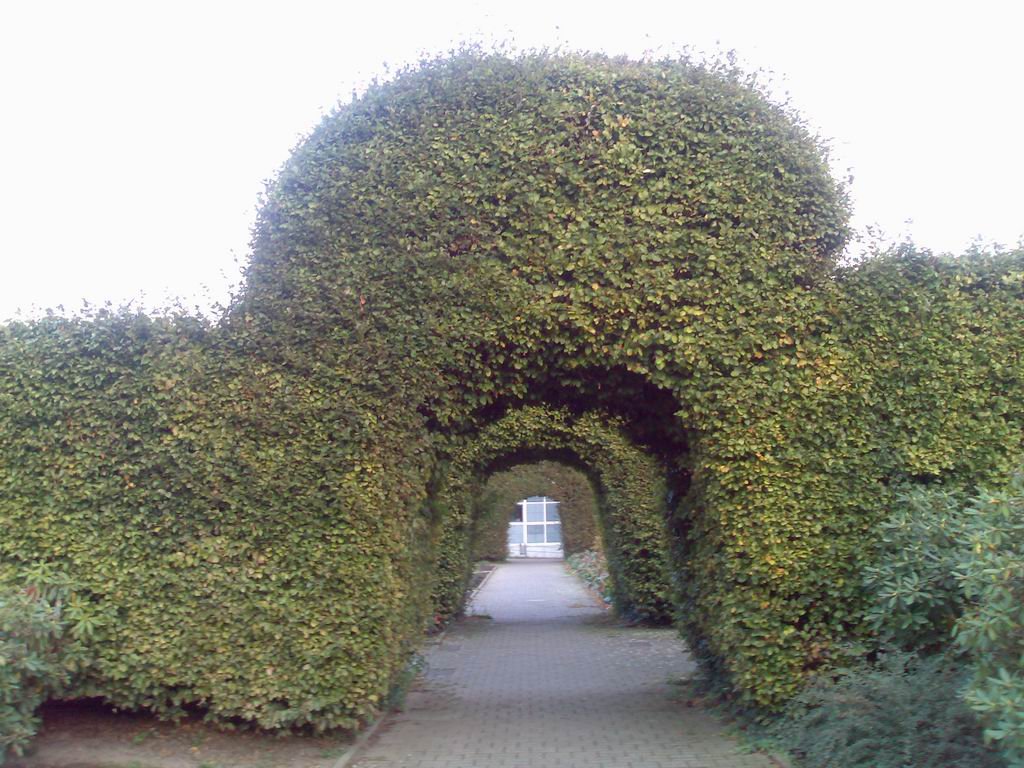 n80cam11.jpg