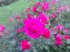 n80cam13_small.jpg