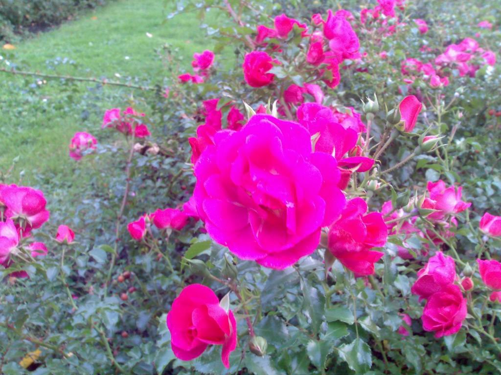 n80cam14.jpg