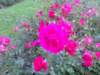 n80cam14_small.jpg